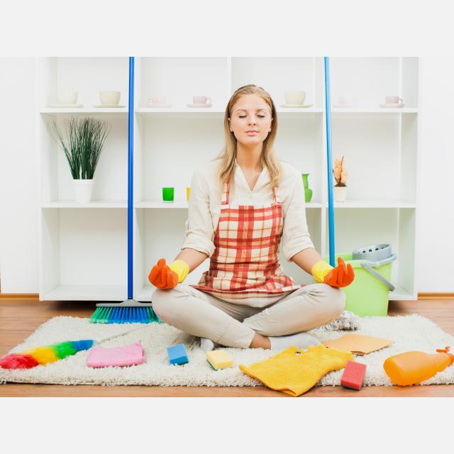 Domestic Cleaner