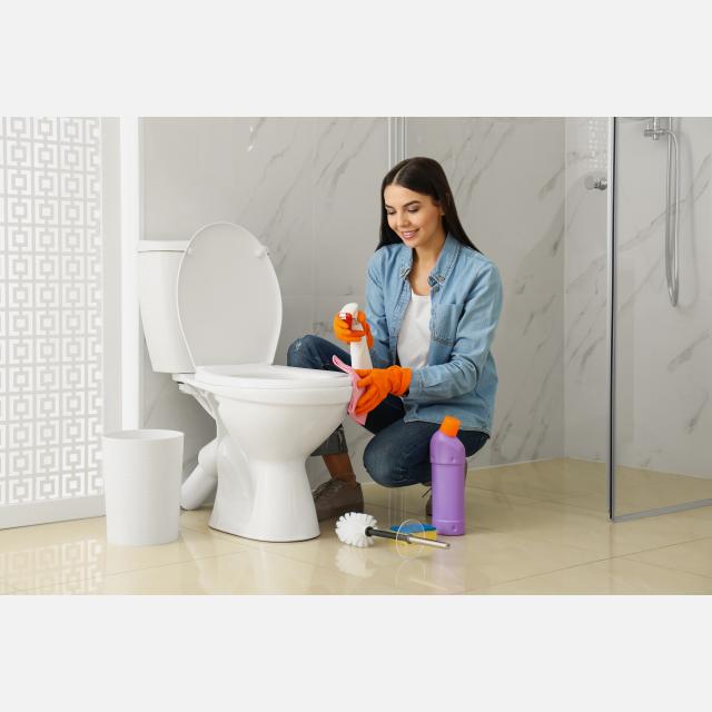 Domestic Cleaner