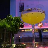 Bonavida Bar avatar icon