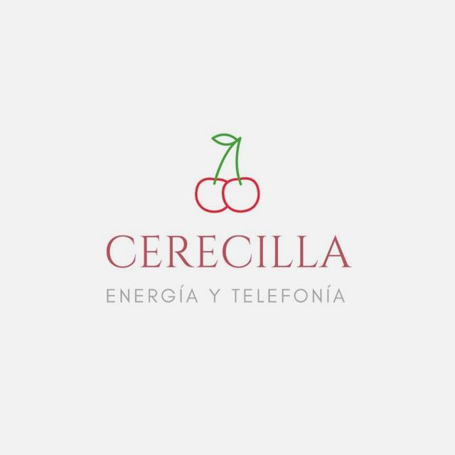 TELEOPERADOR/A