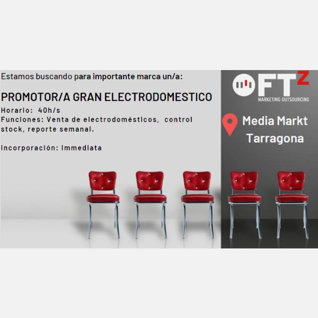 Promotor/a Comercial