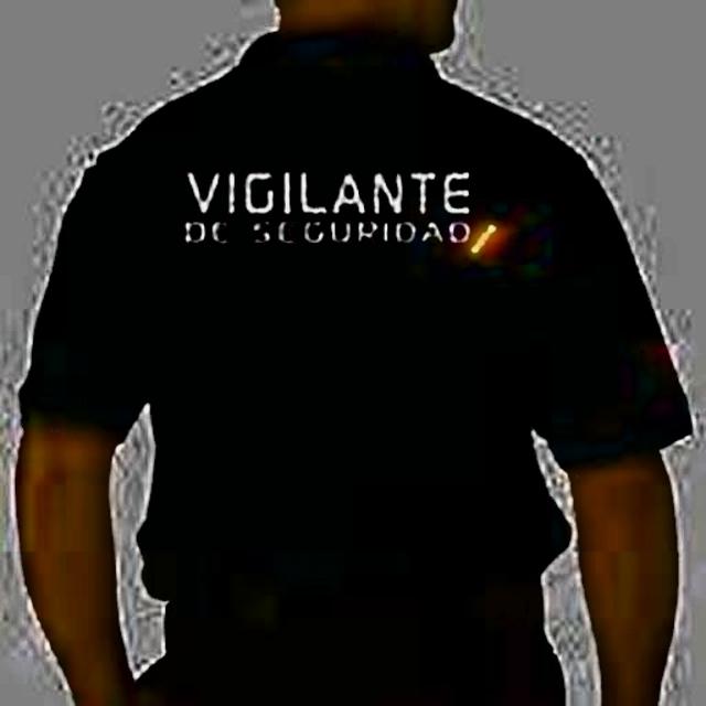 Vigilante de Seguridad