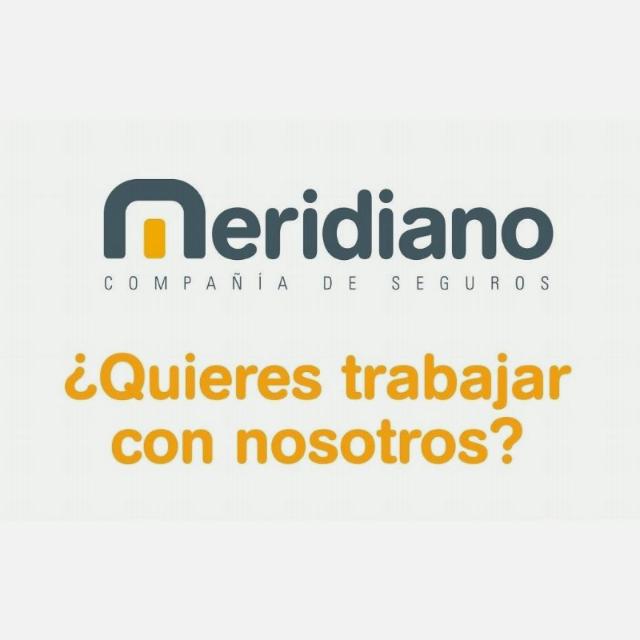 GESTOR COMERCIAL SEGUROS A CORUNA Y FERROL