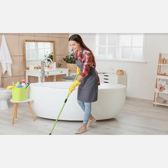 Domestic Cleaner