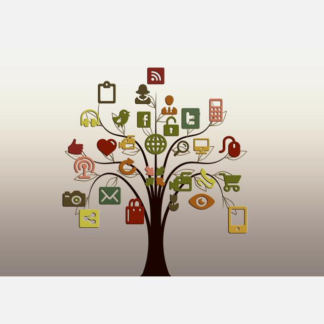 Promotor/a