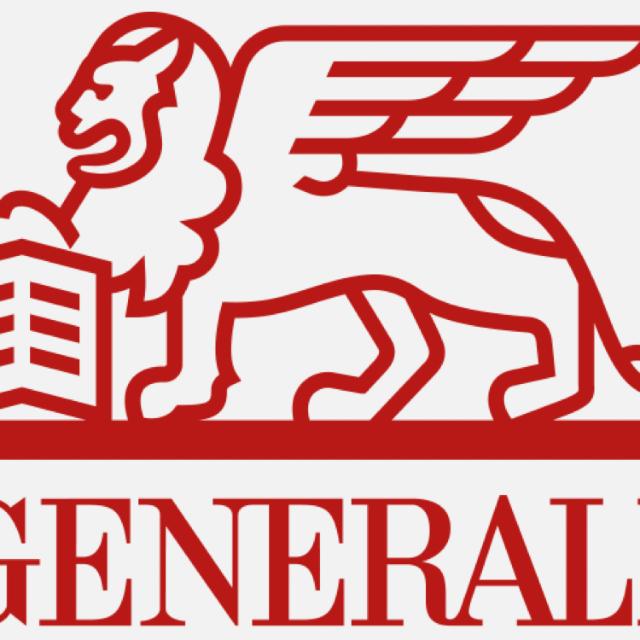 Asesor ejecutivo-Director Comercial