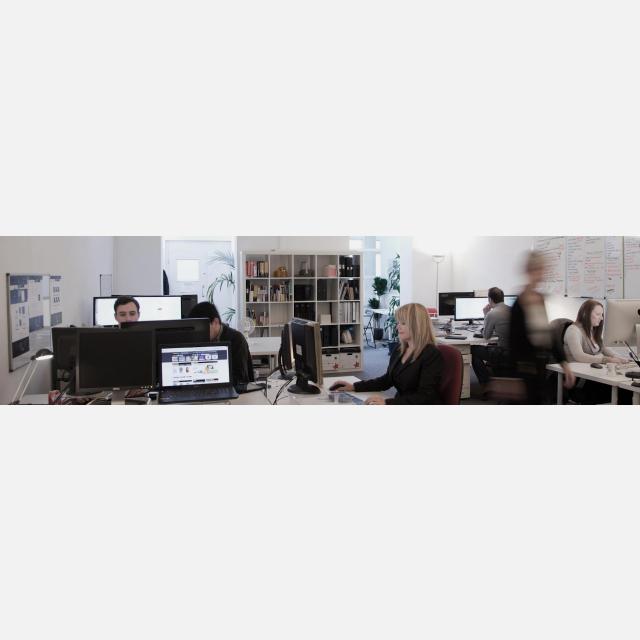Web Developer