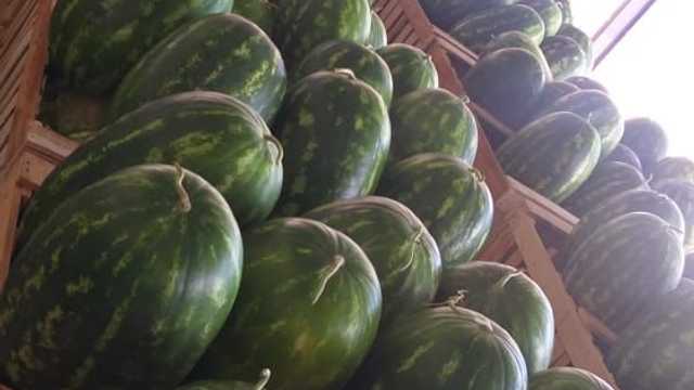 Repartidor de fruta
