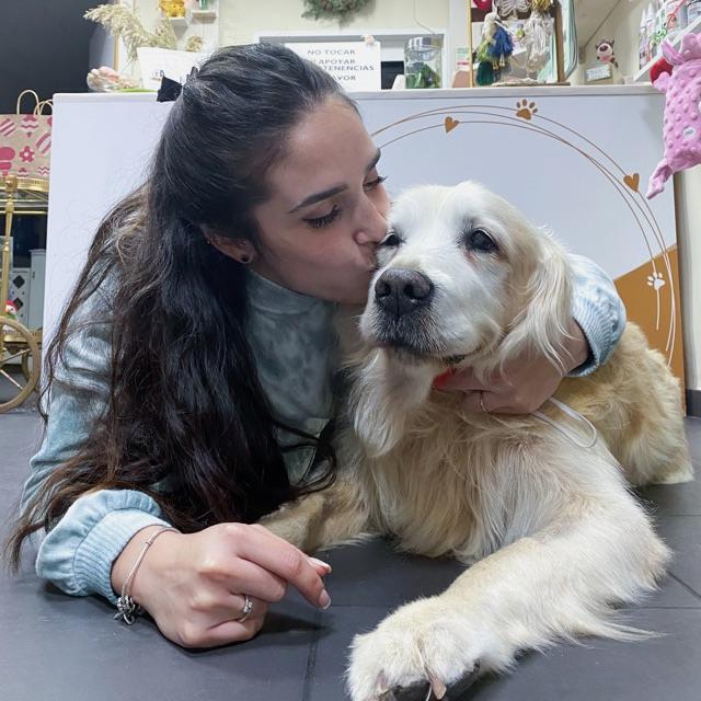 Peluquero canino