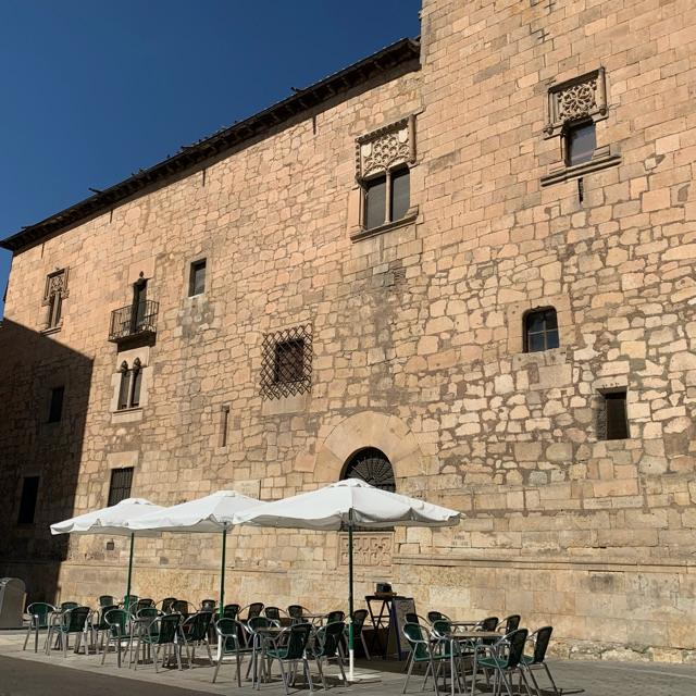 Camarero de Sala/Terraza