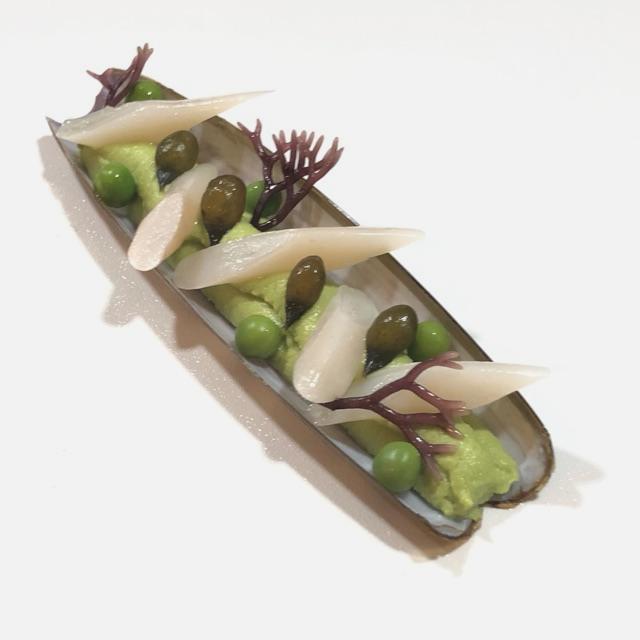 Cocinero/a y Ayudante/a de Cocina
