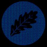 David Muñoz Lucas avatar icon