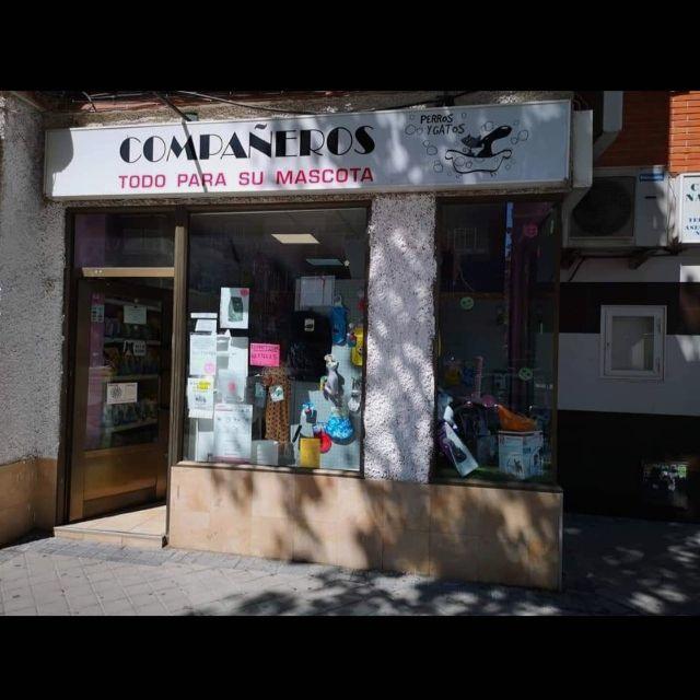 Veterinario