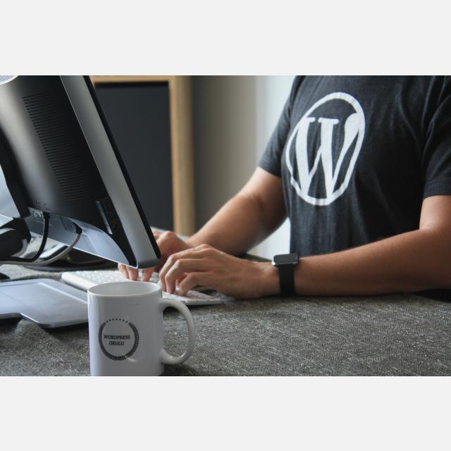 Técnico/a Informático/a