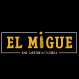 miguel angel Barrionuevo avatar icon