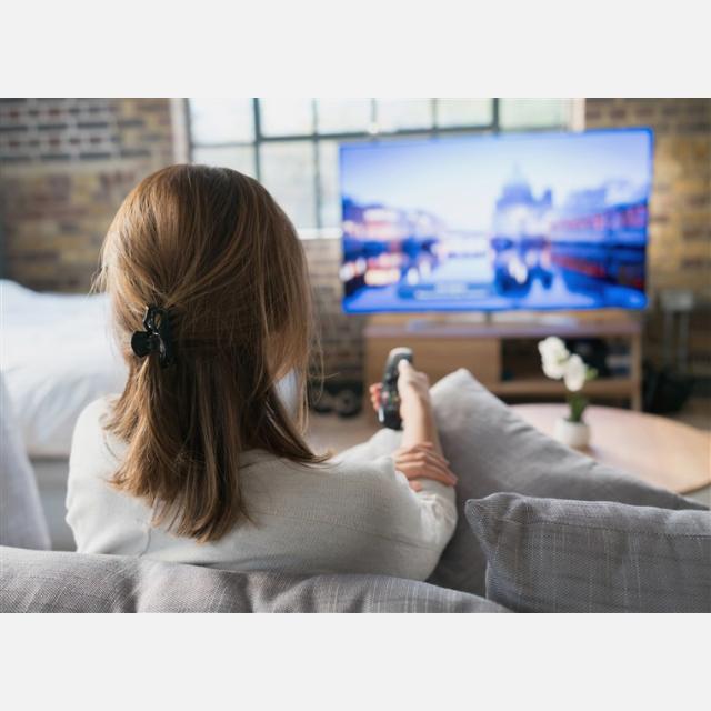 Content Reviewer (Danish)