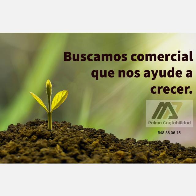Agente Comercial