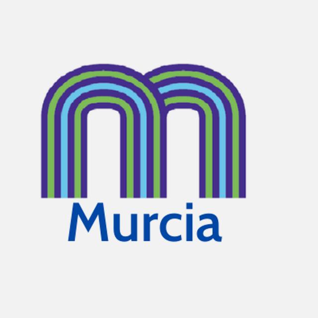 Auxiliar de Ayuda a Domicilio