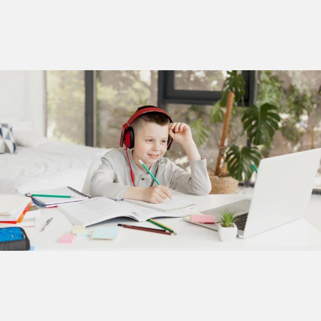 Profesor/a online de refuerzo