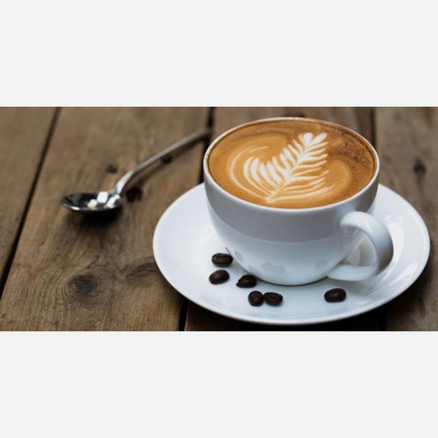 Barista and Waiter / Waitress