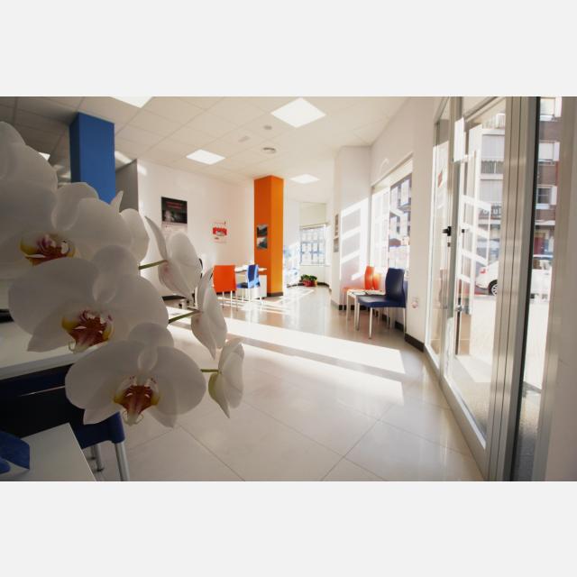 Comercial Inmobiliario