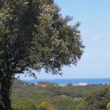 Isla Quejo avatar icon