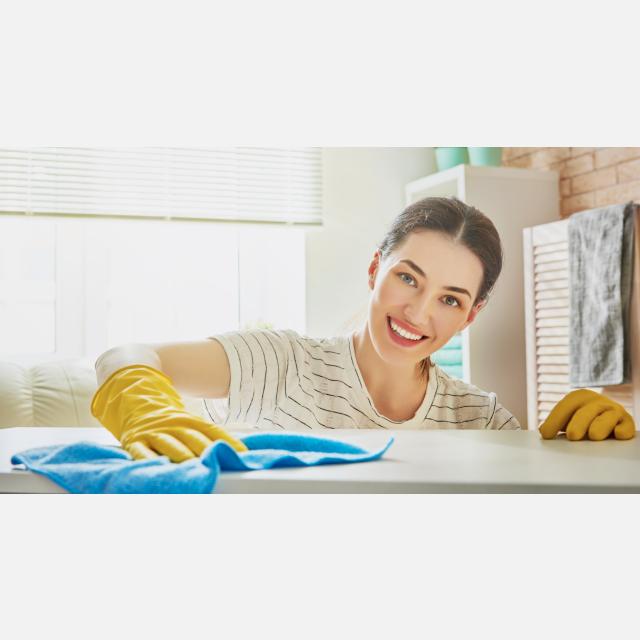 Domestic Cleaner