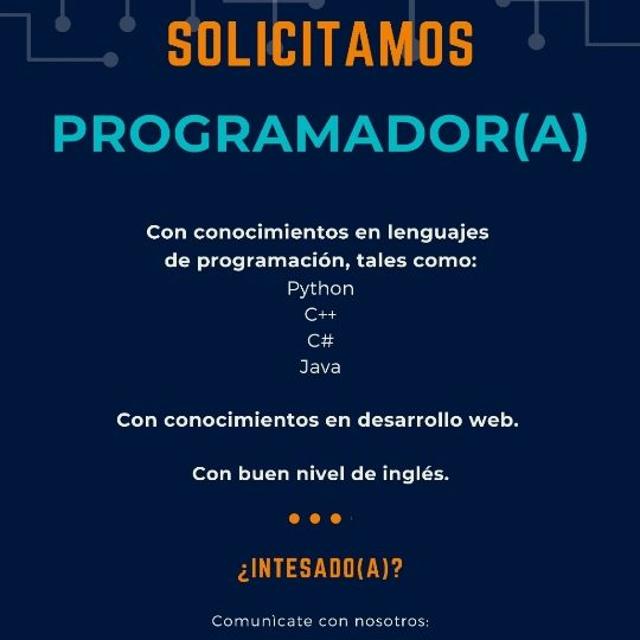 Programador/a
