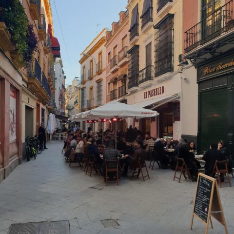 Camarero/a de Sala/Terraza