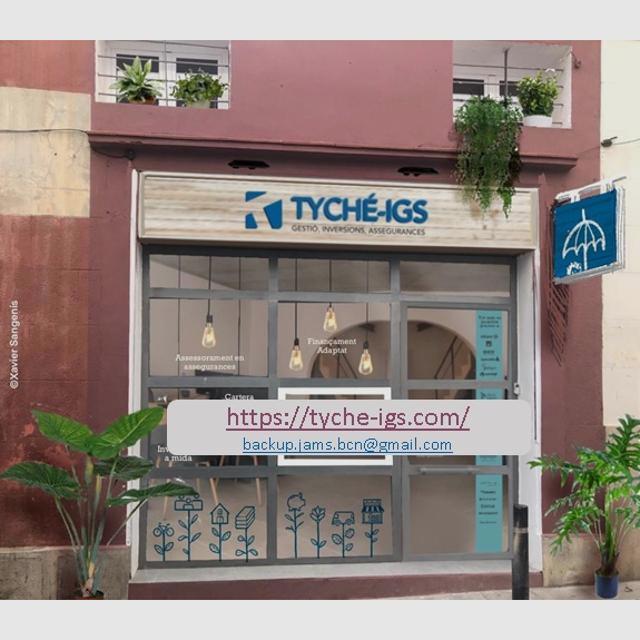 Agente de Seguros
