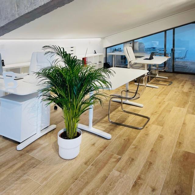 Agente Inmobiliario