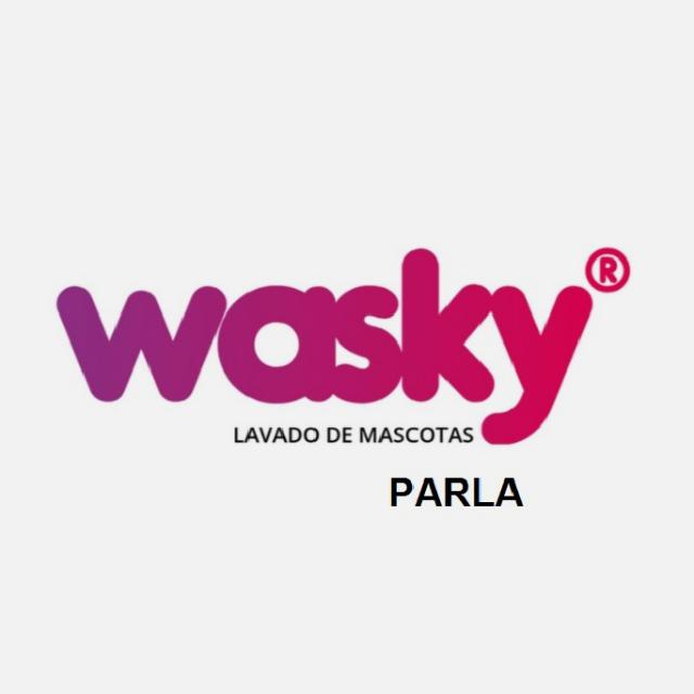 Técnico/a de Mantenimiento y Limpieza