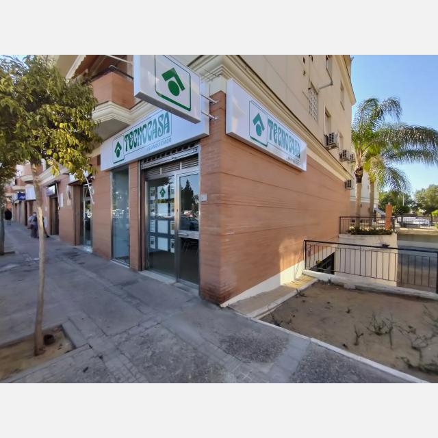Agente Inmobiliario