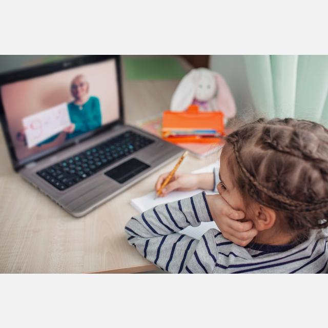 Professeur pour donner des cours particuliers en ligne