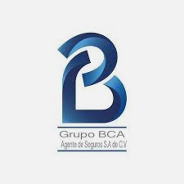 Asesor/a Comercial