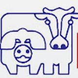 Esther Alvarez avatar icon