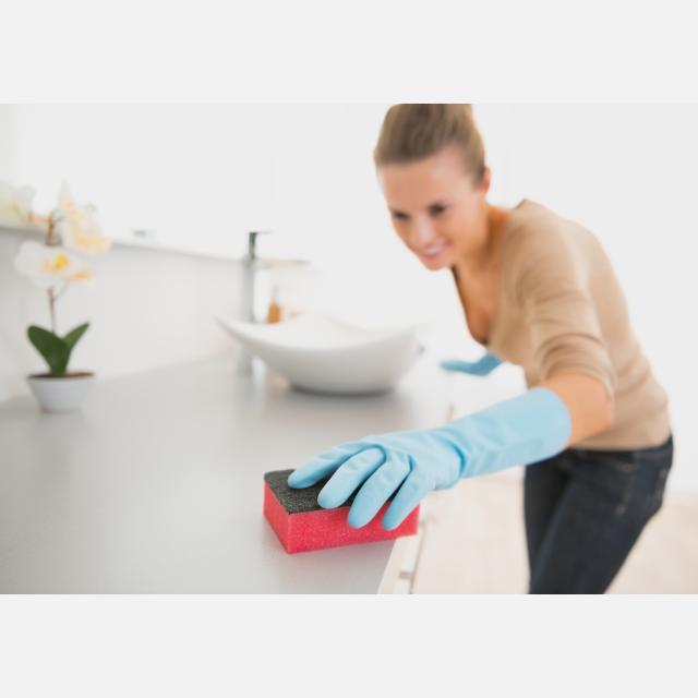 Domestic Cleaner