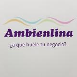 AMBIENLINA Carme Perruquers, s.l. avatar icon