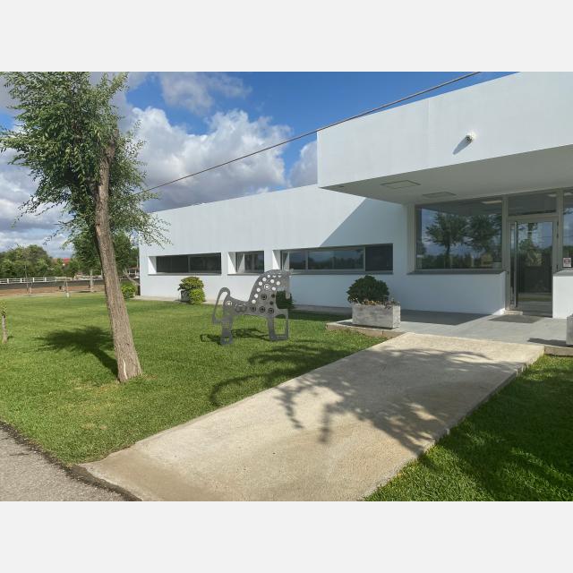 Agente Comercial Técnico/a