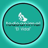 Manuel Tomás avatar icon