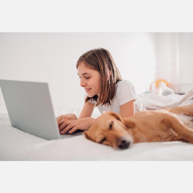 Profesor/a Particular para Clases Online