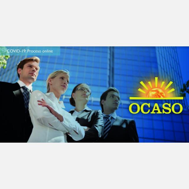 0316-2 Comercial Agente de Seguros Exclusivo