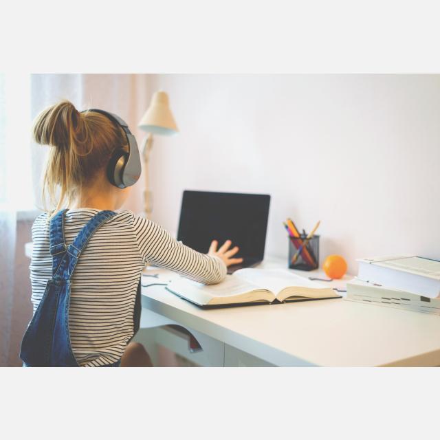 Profesor/a Particular para Clases Online