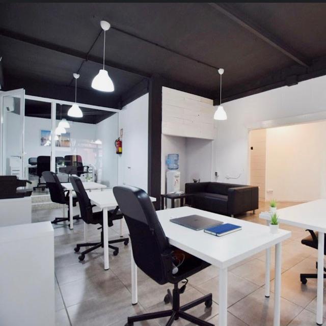 Coordinador/a