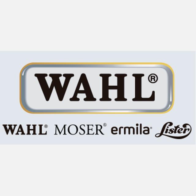 Responsable de educación peluquería profesional Grupo Wahl