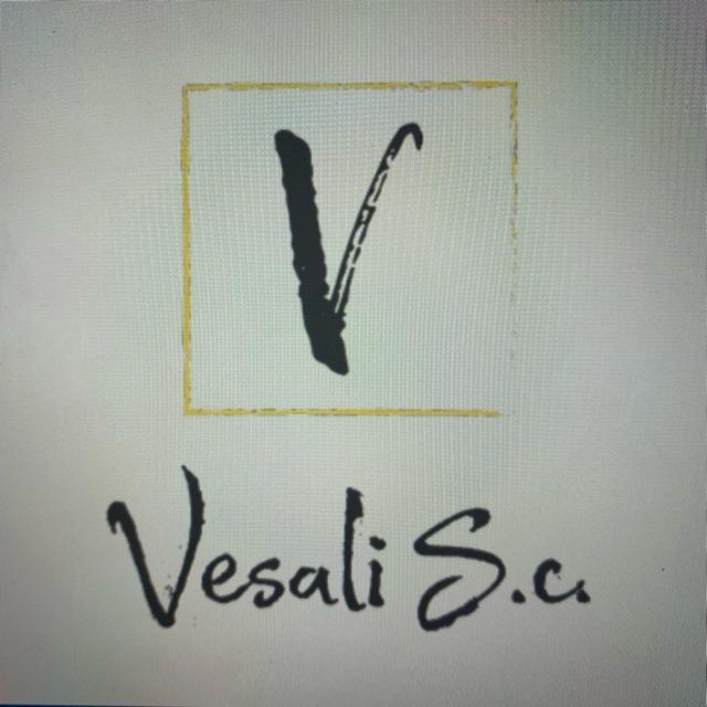 Oficial albañilería