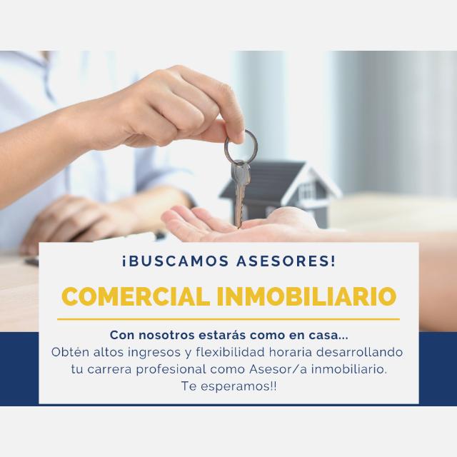 Asesor/a Inmobiliario