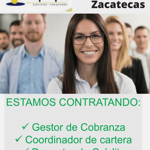 Asesor/a Financiero