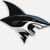 ENERGY S.A.U avatar icon