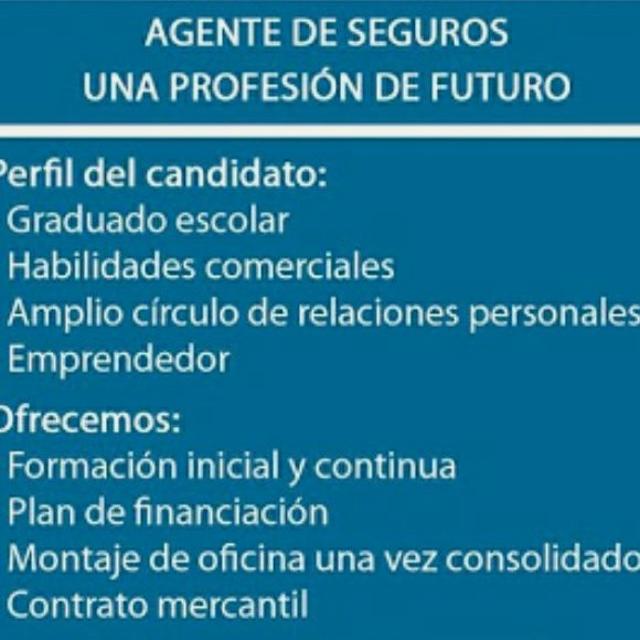 Agente de Seguros